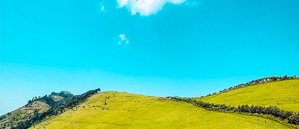 Des collines verdoyantes du Nord-Kivu sous un ciel bleu