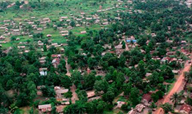 Vue aérienne de Mbandaka et de sa végétation